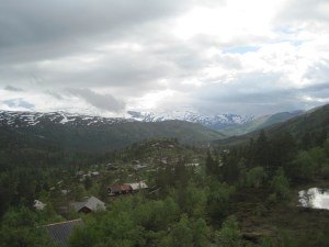 View from Bergen Train