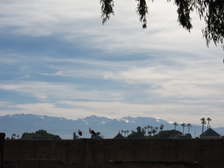 17355_1337585163876_2231927_n